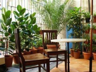 Alojamento de Acomodação e Pequeno-almoço Matisse Royal